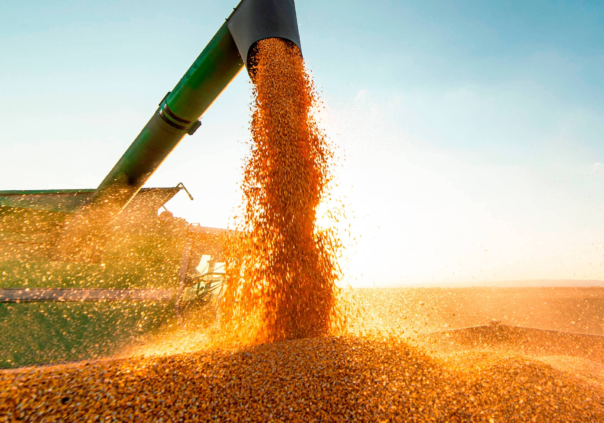 Commercialization of Grain 